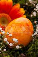 Vivid orange Easter egg with a gerbera and rose