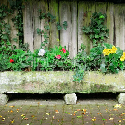 Flower bed near board fence