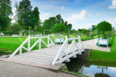 wooden bridge in a beautiful park