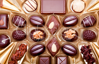 collection of different sweet chocolate pralines