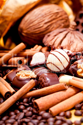 collection of different chocolate pralines truffels