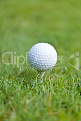 golf ball and iron on green grass detail macro summer outdoor