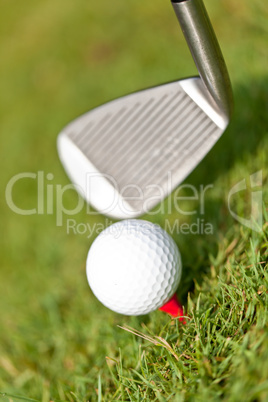 golf ball and iron on green grass detail macro summer outdoor