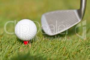 golf ball and iron on green grass detail macro summer outdoor