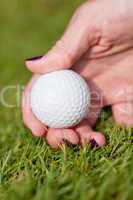 golf ball and iron on green grass detail macro summer outdoor