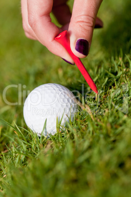 golf ball and iron on green grass detail macro summer outdoor