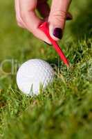 golf ball and iron on green grass detail macro summer outdoor