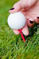 golf ball and iron on green grass detail macro summer outdoor