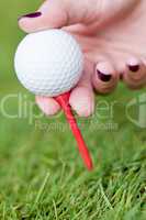 golf ball and iron on green grass detail macro summer outdoor