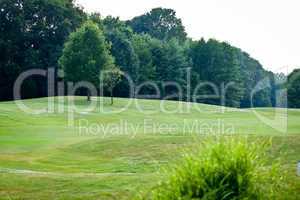beautiful park geen grass and trees background copyspace