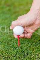 golf ball and iron on green grass detail macro summer outdoor