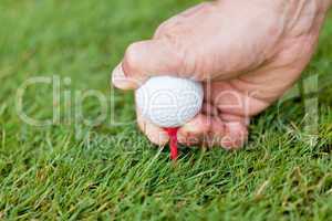 golf ball and iron on green grass detail macro summer outdoor