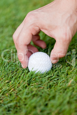 golf ball and iron on green grass detail macro summer outdoor