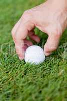 golf ball and iron on green grass detail macro summer outdoor