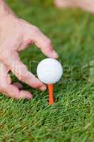 golf ball and iron on green grass detail macro summer outdoor