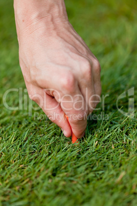 golf ball and iron on green grass detail macro summer outdoor