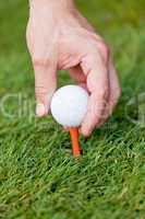 golf ball and iron on green grass detail macro summer outdoor