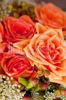 colorful beautiful roses flowers macro closeup card background