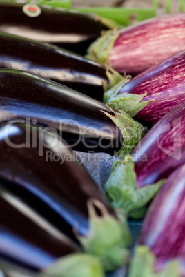 fresh violet eggplant in summer outdoor on market