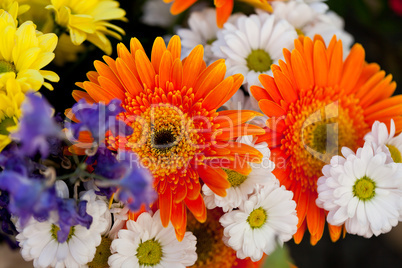 beautiful colorful collection of flowers spring summer celebration