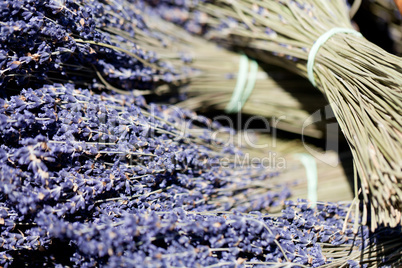 fresh aromatic lavender in basket macro outdoor