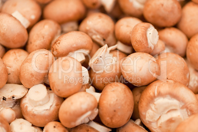 fresh brown champignons on market outdoor