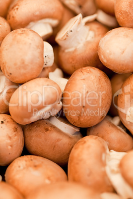 fresh brown champignons on market outdoor