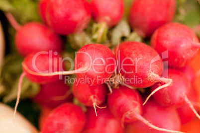 fresh red raddisch closeup macro outdoor market