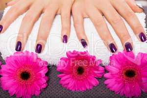 Woman with beautiful manicured purple nails