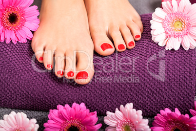 Bare feet of a woman surrounded by flowers