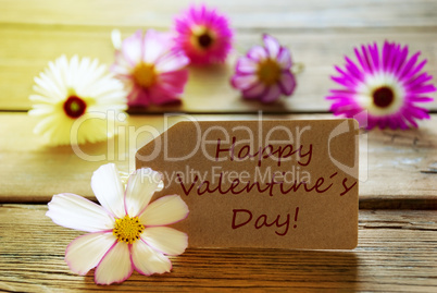 Sunny Label Text Happy Valentines Day With Cosmea Blossoms
