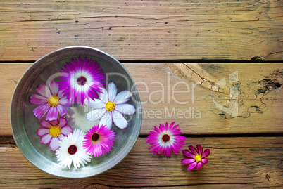 Silver Bowl With Cosmea Blossoms And Copy Space