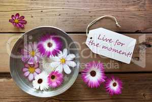 Silver Bowl With Cosmea Blossoms With Life Quote Live For The Moment