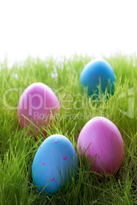 Many Pink And Blue Easter Eggs On Green Grass