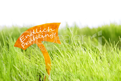 Label With German Endlich Frühling Which Means Spring On Green Grass