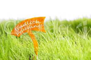 Label With German Endlich Frühling Which Means Spring On Green Grass
