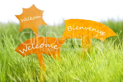 Three Labels With Welcome In Different Languages On Grass