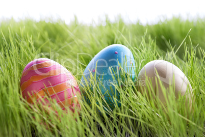 Three Colorful Easter Eggs On Green Gras