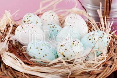 pink present and colorful tulips festive easter decoration