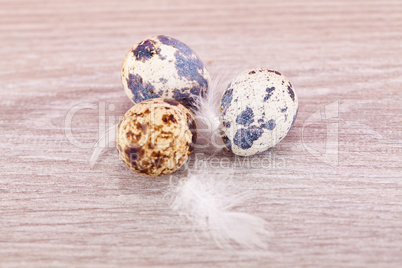 easter decoration with quail eggs on wood