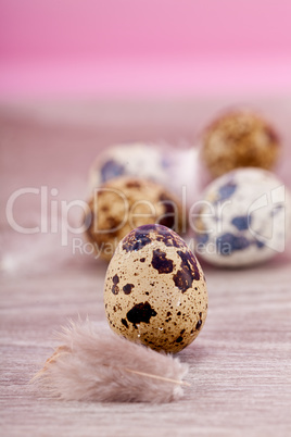 easter decoration with quail eggs on wood