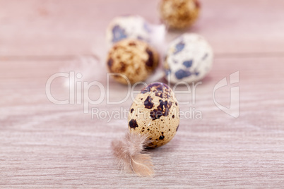 easter decoration with quail eggs on wood