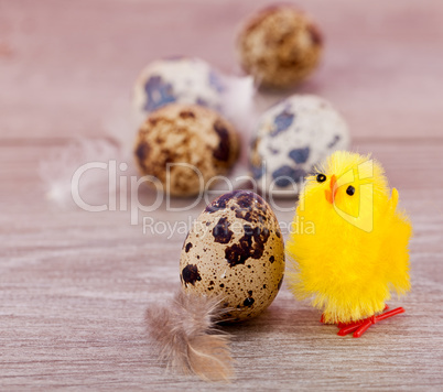 easter decoration with quail eggs on wood