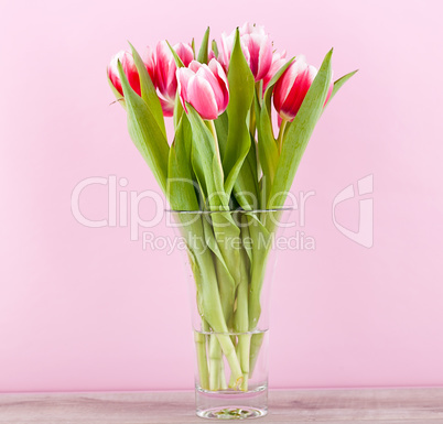 pink and white tulips present ribbon easter birthday