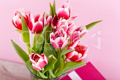 pink and white tulips present ribbon easter birthday