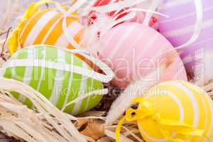 colorful easter egg decoration on wooden background