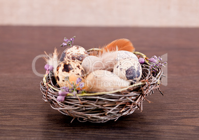 easter decoration with quail eggs on wood