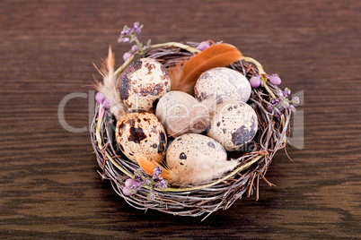 easter decoration with quail eggs on wood