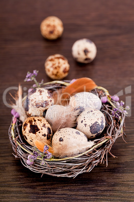 easter decoration with quail eggs on wood