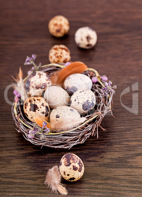 easter decoration with quail eggs on wood